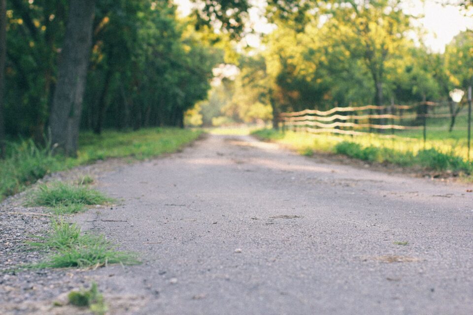 A quiet country road lined with trees and fencing, typical of the acreage around Cut and Shoot, TX