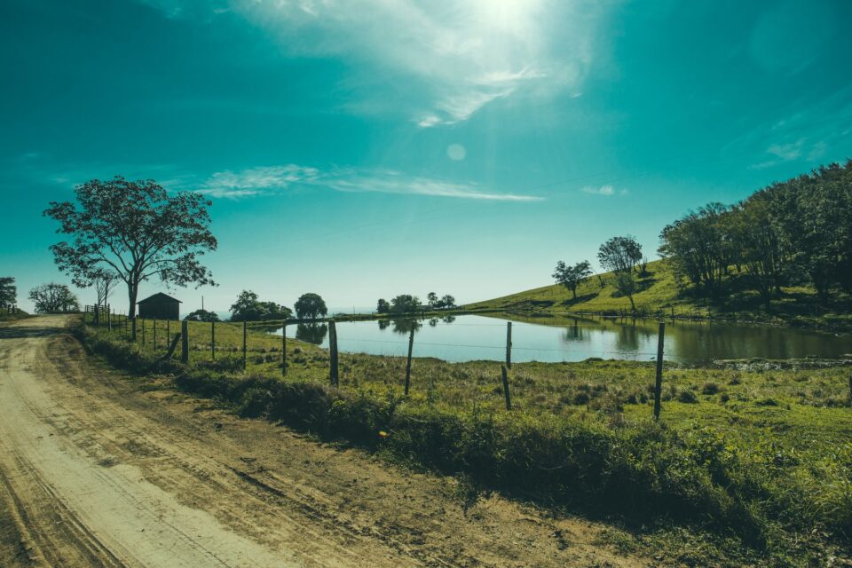 A rural pond and dirt road under a clear sky, typical of the country around Dayton, TX