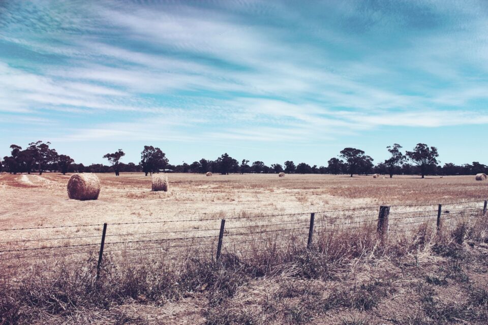 Rural landscape with hay bales, trees and a wire fence, typical of the acreage around Hockley, TX