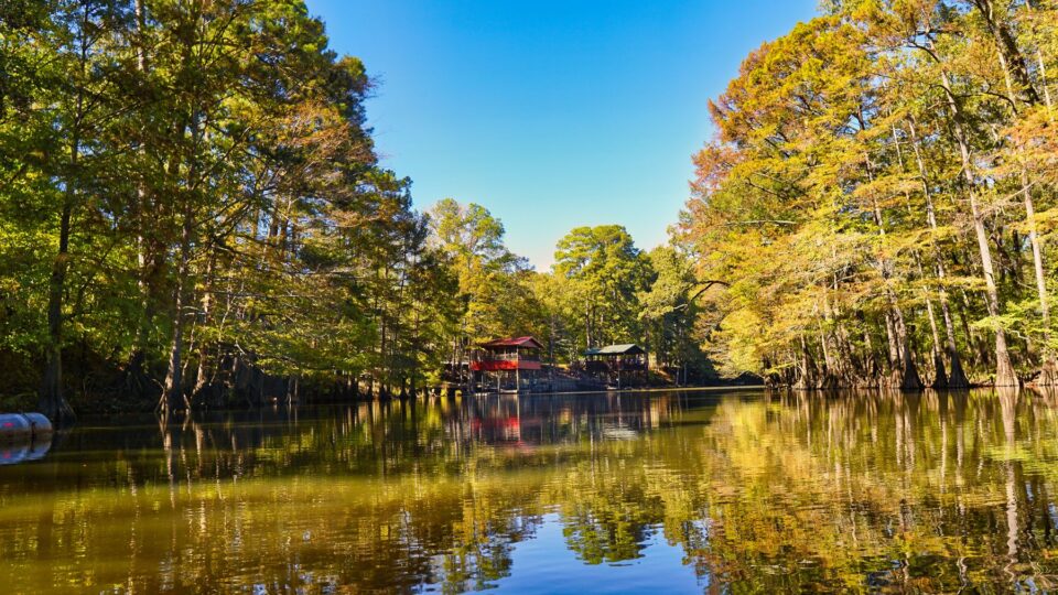 Tree-lined Texas lake, evoking the Lake Houston and Kingwood area near Humble, TX