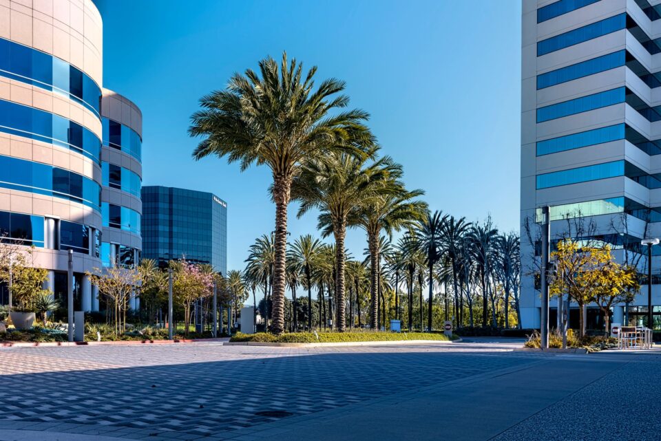 A landscaped city plaza surrounded by modern buildings, evoking the Memorial City district of Houston, TX